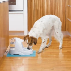 Petsafe Drinkwell Platinum - Drinkfontein - 5 L 28 Petsafe Drinkwell Platinum - Drinkfontein - 5 L -Merkloos Verkoop 1200x1200 417