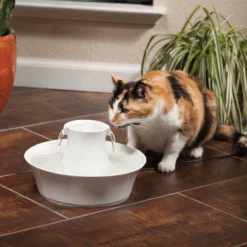 Petsafe Drinkwell Ceramic Avalon - Drinkfontein - 2 L -Merkloos Verkoop 1200x1200 422