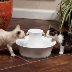 Petsafe Drinkwell Ceramic Avalon - Drinkfontein - 2 L -Merkloos Verkoop 1200x1200 423