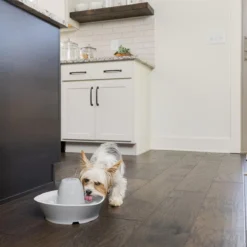 PetSafe® Streamside Ceramic Pet Fountain - Keramische Drinkfontein Voor Katten En Kleine Honden - Water Borrelt Zacht Over De Toren - Door Het Design Van Alle Kanten Bereikbaar - 1,8 Liter - PetSafe Streamside -Merkloos Verkoop 1200x1200 428