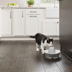 PetSafe® Streamside Ceramic Pet Fountain - Keramische Drinkfontein Voor Katten En Kleine Honden - Water Borrelt Zacht Over De Toren - Door Het Design Van Alle Kanten Bereikbaar - 1,8 Liter - PetSafe Streamside -Merkloos Verkoop 1200x1200 429