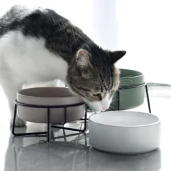 GIZMO 2x Voerbak Kat - 400 Ml - Groen - Keramische Drink- & Voerbakken Met Standaard - 13 Cm - 2 Stuks -Merkloos Verkoop 1200x1200 446