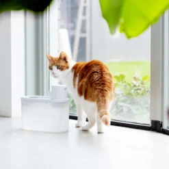 Hoopo® Agua - DRAADLOZE Waterfontein Katten - SMART Waterfontein Katten - UVC Disinfectie - 2 Liter - Automatische Katten Fontein -Merkloos Verkoop 1200x1200 450