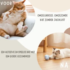 MyBuddy - Interactieve Zelf Rollende Bal - Kattenspeeltjes - Kattenspeelgoed - Bal Voor Katten - LED Lights - Speelgoed - USB - Roze -Merkloos Verkoop 1200x1200 461