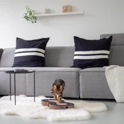 Interactief Design Krabspeelgoed Voor Katten Van Duurzaam Karton - District 70 SNAKE - Zwart -Merkloos Verkoop 1200x1200 470