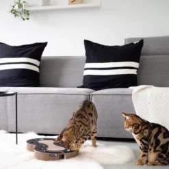 Interactief Design Krabspeelgoed Voor Katten Van Duurzaam Karton - District 70 SNAKE - Zwart -Merkloos Verkoop 1200x1200 471