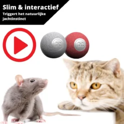 Cheerble Mini Ball 2.0 - Slimme Interactieve Zelf Rollende Bal Voor Katten - 3 Speelmodi - Kattenspeeltjes - USB Oplaadbaar - Rood -Merkloos Verkoop 1200x1200 499