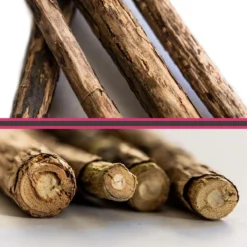 Make Me Purr Matatabi Sticks (10 Stuks) - Silver Vine Kattenkruid Stokjes - Catnip Effect Kauwstokjes - Kattensnack Kattensnoepjes - Kattenspeelgoed Kattenspeeltjes 9 Make Me Purr Matatabi Sticks (10 Stuks) - Silver Vine Kattenkruid Stokjes - Catnip Effect Kauwstokjes - Kattensnack Kattensnoepjes - Kattenspeelgoed Kattenspeeltjes -Merkloos Verkoop 1200x1200 5