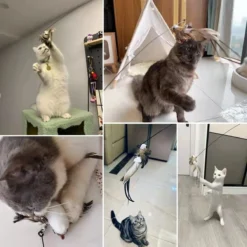 Kattenspeelgoed - Simulatie Vogel - Interactieve Grappige Kattenspeeltjes - Kattenhengel Met Zuignap + 4 Vogels + Een Kattenhengel GRATIS -Merkloos Verkoop 1200x1200 513