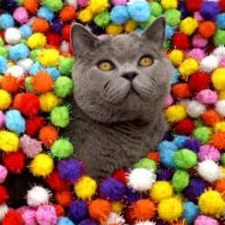 Make Me Purr Glitter Pompon Ballen (10 Stuks) - Kattenspeeltjes - Kattenspeelgoed - Speelgoed Voor Katten - Kat Speeltje Bal - Kitten Speeltjes Balletjes 8 Make Me Purr Glitter Pompon Ballen (10 Stuks) - Kattenspeeltjes - Kattenspeelgoed - Speelgoed Voor Katten - Kat Speeltje Bal - Kitten Speeltjes Balletjes -Merkloos Verkoop 1200x1200 520