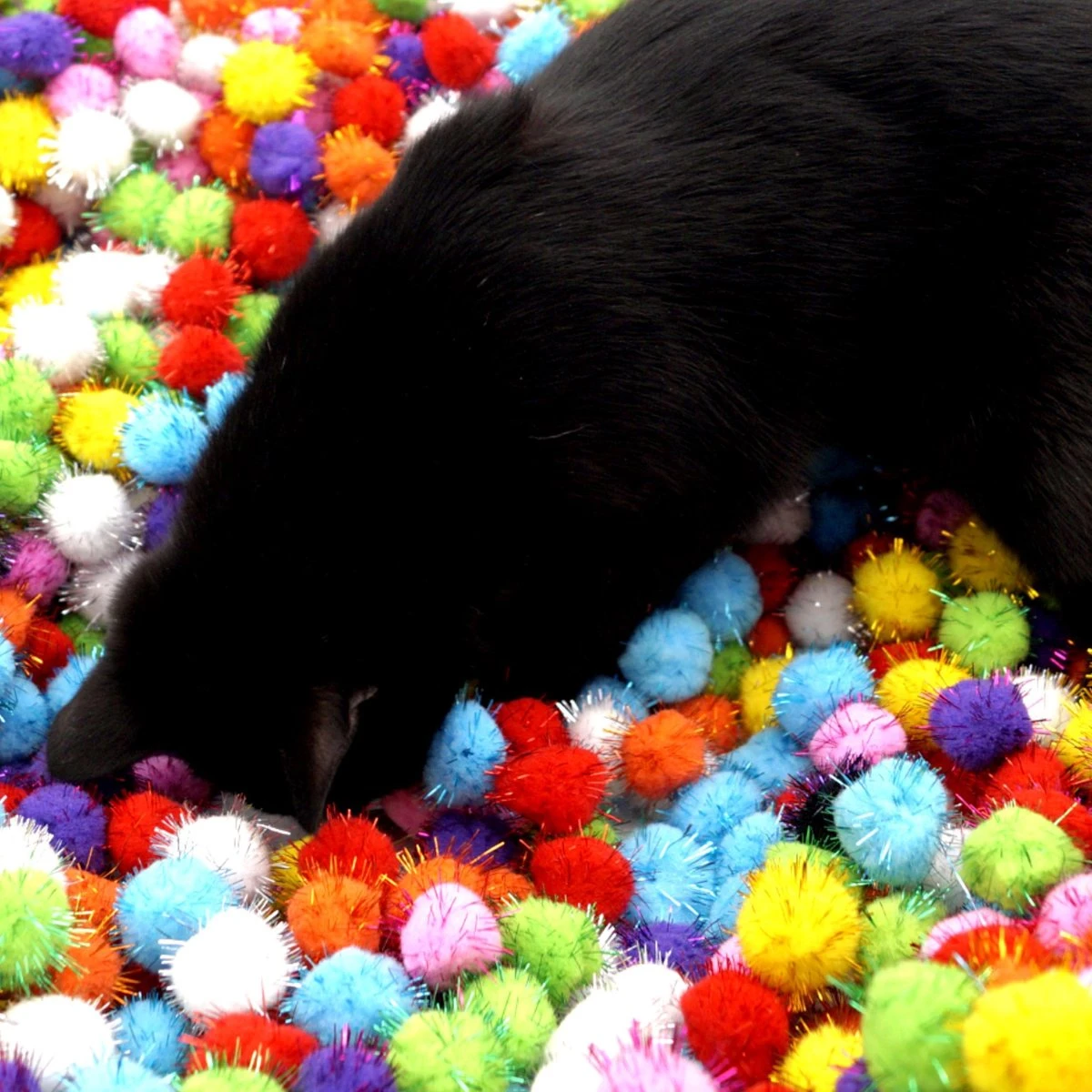 Make Me Purr Glitter Pompon Ballen (10 Stuks) - Kattenspeeltjes - Kattenspeelgoed - Speelgoed Voor Katten - Kat Speeltje Bal - Kitten Speeltjes Balletjes 4 Make Me Purr Glitter Pompon Ballen (10 Stuks) - Kattenspeeltjes - Kattenspeelgoed - Speelgoed Voor Katten - Kat Speeltje Bal - Kitten Speeltjes Balletjes - Image 4