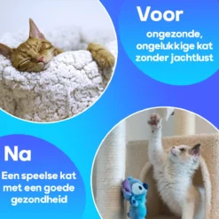 TocaToca Kip- Interactieve Zelf Bewegende Speeltje- Kattenspeeltjes- Kattenspeelgoed- Intelligentie- Kip Voor Katten- Laser- USB- Speelgoed- Geluid- Blauw -Merkloos Verkoop 1200x1200 532