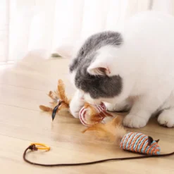 Kattenspeelgoed - Set Met 7 Kattenspeeltjes - Complete Set - Kattenhengel - Speelmuis -Merkloos Verkoop 1200x1200 548