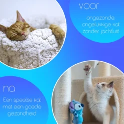 TocaToca Kip- Interactieve Zelf Bewegende Speeltje- Kattenspeeltjes- Intelligentie- Kattenspeelgoed- Kip Voor Katten- Laser- USB- Speelgoed- Geluid- Oranje 7 TocaToca Kip- Interactieve Zelf Bewegende Speeltje- Kattenspeeltjes- Intelligentie- Kattenspeelgoed- Kip Voor Katten- Laser- USB- Speelgoed- Geluid- Oranje -Merkloos Verkoop 1200x1200 555
