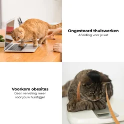 Pettadore - Laser Kattenspeeltjes - Smart Met Autoplay En Handmatig Via App -Merkloos Verkoop 1200x1200 561