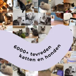 Pettadore - Laser Kattenspeeltjes - Smart Met Autoplay En Handmatig Via App -Merkloos Verkoop 1200x1200 563