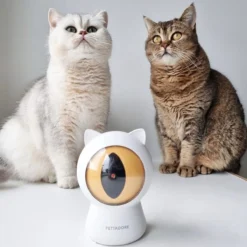 Pettadore - Laser Kattenspeeltjes - Smart Met Autoplay En Handmatig Via App -Merkloos Verkoop 1200x1200 568