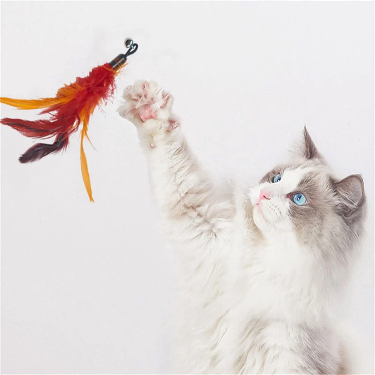 Merkloos Kattenhengel Met 10 Opzetstukjes - Kat Speelhengel Met Veren - Speelgoed Hengel Voor Katten – Kittenspeeltjes Met Veer – Kattenspeelgoed – Katten Speeltjes 5 Merkloos Kattenhengel Met 10 Opzetstukjes - Kat Speelhengel Met Veren - Speelgoed Hengel Voor Katten – Kittenspeeltjes Met Veer – Kattenspeelgoed – Katten Speeltjes - Image 5