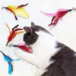 Merkloos Kattenhengel Met 10 Opzetstukjes - Kat Speelhengel Met Veren - Speelgoed Hengel Voor Katten – Kittenspeeltjes Met Veer – Kattenspeelgoed – Katten Speeltjes 11 Merkloos Kattenhengel Met 10 Opzetstukjes - Kat Speelhengel Met Veren - Speelgoed Hengel Voor Katten – Kittenspeeltjes Met Veer – Kattenspeelgoed – Katten Speeltjes -Merkloos Verkoop 1200x1200 571