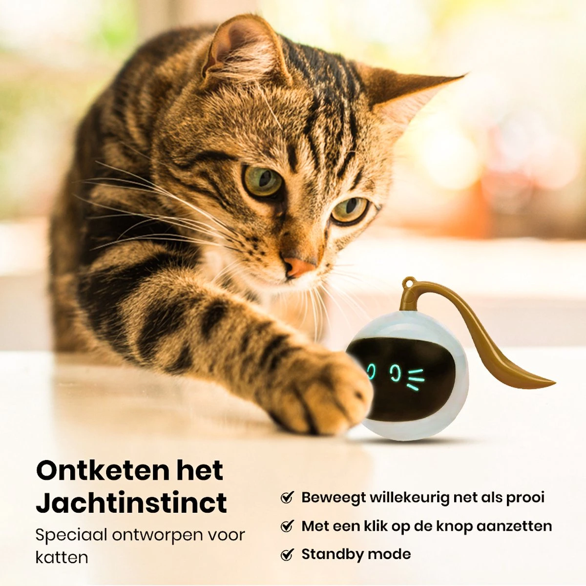Otiume Interactieve Speelbal - Slimme Interactieve Jaag Speeltje Voor Katten - Kattenspeeltjes - Intelligente Jaagbal - AI -USB Oplaadbaar - LED - Blauw 2 Otiume Interactieve Speelbal - Slimme Interactieve Jaag Speeltje Voor Katten - Kattenspeeltjes - Intelligente Jaagbal - AI -USB Oplaadbaar - LED - Blauw - Afbeelding 2