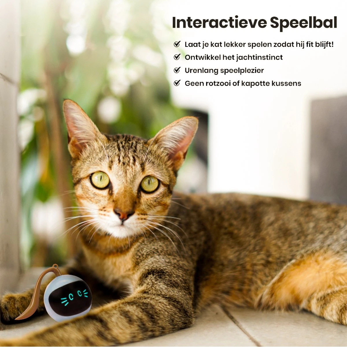 Otiume Interactieve Speelbal - Slimme Interactieve Jaag Speeltje Voor Katten - Kattenspeeltjes - Intelligente Jaagbal - AI -USB Oplaadbaar - LED - Blauw 5 Otiume Interactieve Speelbal - Slimme Interactieve Jaag Speeltje Voor Katten - Kattenspeeltjes - Intelligente Jaagbal - AI -USB Oplaadbaar - LED - Blauw - Afbeelding 5