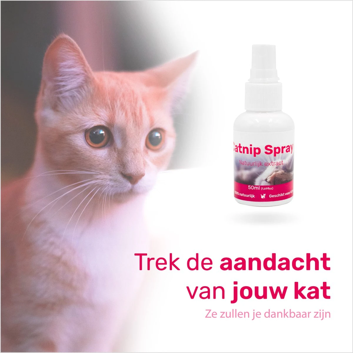 LBB - Catnip Spray 50ML - 100% Natuurlijk - CE Gekeurd - Kattenkruid Spray - Catnip Speelgoed - Valeriaan - Kat - Katten 3 LBB - Catnip Spray 50ML - 100% Natuurlijk - CE Gekeurd - Kattenkruid Spray - Catnip Speelgoed - Valeriaan - Kat - Katten - Afbeelding 3