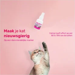 LBB - Catnip Spray 50ML - 100% Natuurlijk - CE Gekeurd - Kattenkruid Spray - Catnip Speelgoed - Valeriaan - Kat - Katten 9 LBB - Catnip Spray 50ML - 100% Natuurlijk - CE Gekeurd - Kattenkruid Spray - Catnip Speelgoed - Valeriaan - Kat - Katten -Merkloos Verkoop 1200x1200 594