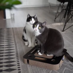 Interactief Krabspeelgoed Van Karton Met Balletje En Belletje - District 70 SPY - Zwart Of Wit 35x35x6cm - Zwart 13 Interactief Krabspeelgoed Van Karton Met Balletje En Belletje - District 70 SPY - Zwart Of Wit 35x35x6cm - Zwart -Merkloos Verkoop 1200x1200 601