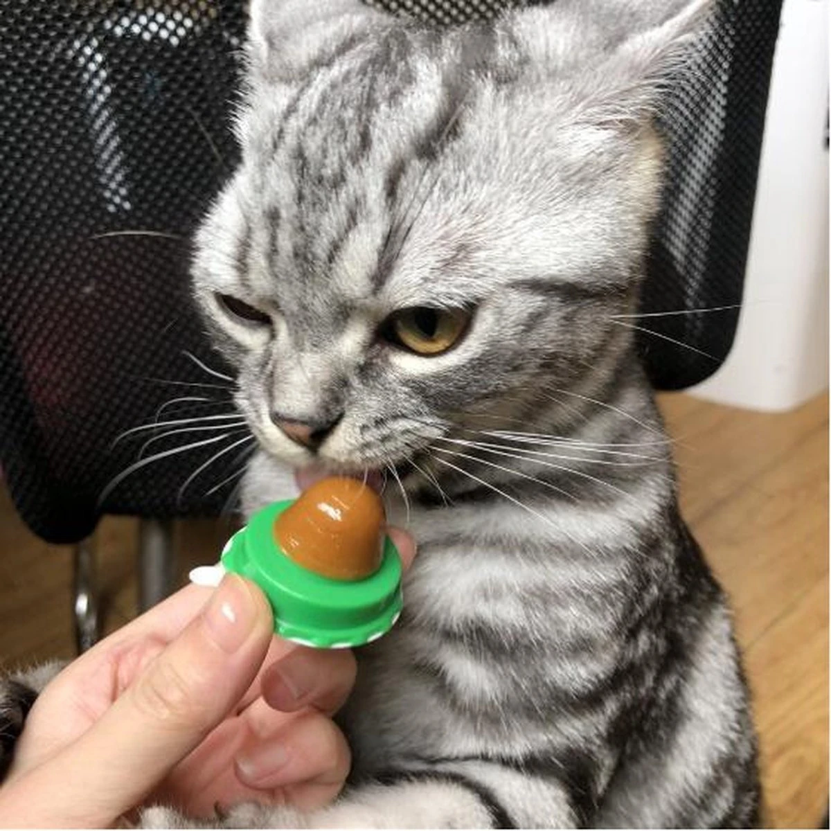 Merkloos EPIN | Kattenkruid Lik Snoepje | Plak Strip | Katten Snacks | Katten Snoep 2 Merkloos EPIN | Kattenkruid Lik Snoepje | Plak Strip | Katten Snacks | Katten Snoep - Afbeelding 2