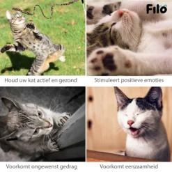 Filo Kattenspeelgoed Set 30 Stuks - Kattenspeeltje Kattentunnel - Kattenhengel - Kattenveertjes - Vis Met Kattenkruid - Kattenspeeltjes Intelligentie Kitten - Interactief Speelgoed Katten - Poezen Speeltjes -Merkloos Verkoop 1200x1200 635