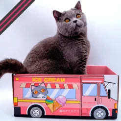 Make Me Purr Kattendoos Van Karton (Ice Cream) - Inclusief Kartonnen Krabmat - Speelgoed Doos Voor Katten Met Krab Mat - Kat Krabpaal Speeltje - Kattenbed Kattenmand Kattenhuis Kattentunnel - Kattenspeelgoed - Kattenspeeltjes - Kitten Speeltjes -Merkloos Verkoop 1200x1200 641