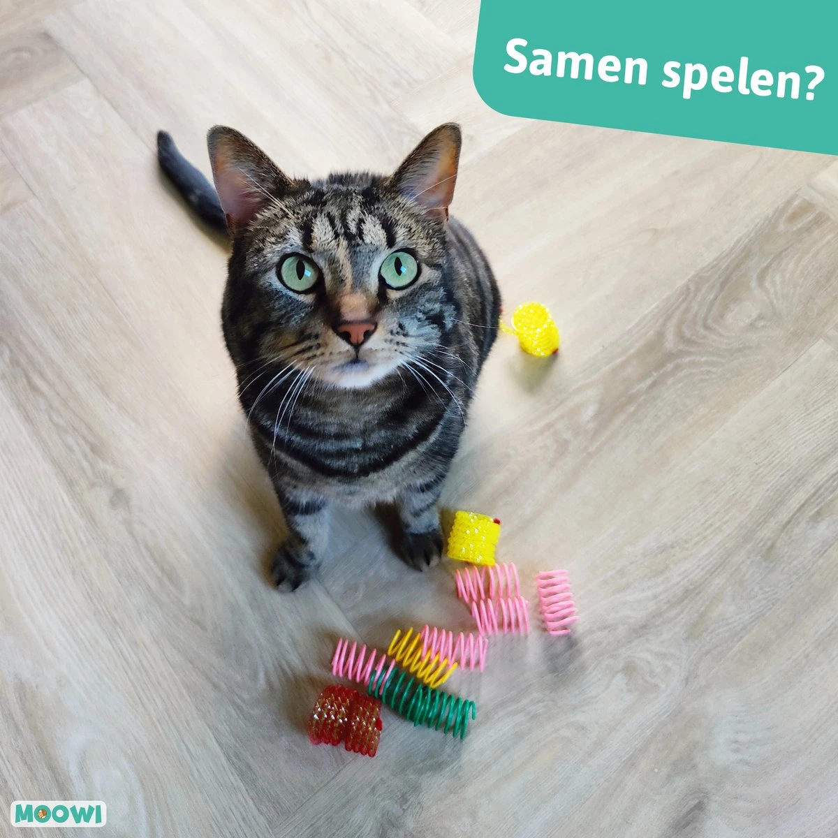 Moowi - Springveren 30 Stuks - Kat - Kattenveertjes - Kattenspeelgoed 4 Moowi - Springveren 30 Stuks - Kat - Kattenveertjes - Kattenspeelgoed - Image 4