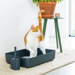 Hoopo® Poh Kattenbak Grijs - Open Kattenbak - Design Kattenbak - Kattenbakschep - 50x37.5x12.7 Cm - Grote Kattenbak -Merkloos Verkoop 1200x1200 665