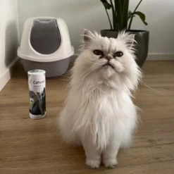 Catuals Kattenbakvulling Geurverdrijver - Neutraliseert Urinegeur Van Katten - Cotton Fresh - 1kg -Merkloos Verkoop 1200x1200 762