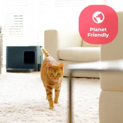 Hoopo® Dome Plus Kattenbak Grijs - Kattenbak - Kattenbakschep - 50x37.5x38cm - Grote Kattenbak -Merkloos Verkoop 1200x1200 767