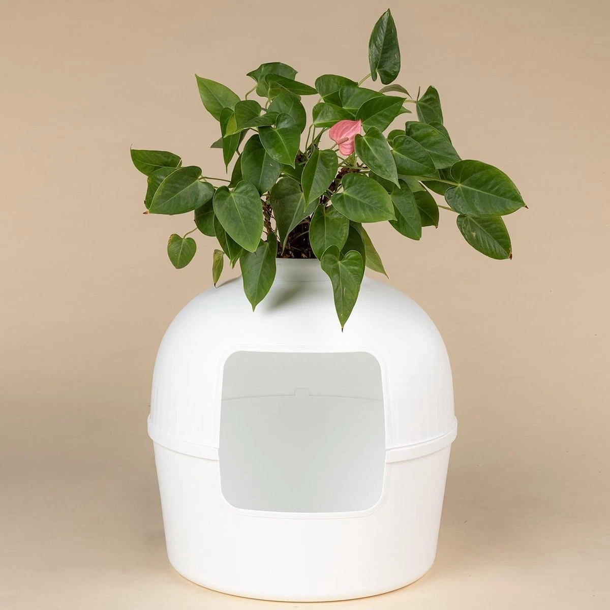 XXL Kattenbak – Verborgen Kattentoilet – Flower XXL Wit Voor Grote Katten Van RHRQuality 2 XXL Kattenbak – Verborgen Kattentoilet – Flower XXL Wit Voor Grote Katten Van RHRQuality - Afbeelding 2