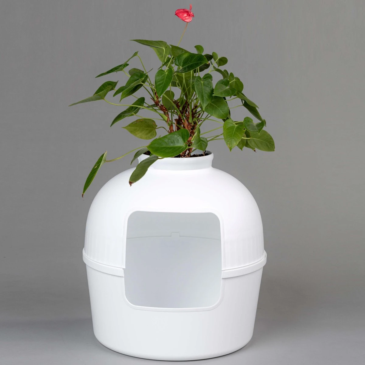 XXL Kattenbak – Verborgen Kattentoilet – Flower XXL Wit Voor Grote Katten Van RHRQuality 5 XXL Kattenbak – Verborgen Kattentoilet – Flower XXL Wit Voor Grote Katten Van RHRQuality - Afbeelding 5