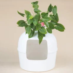 XXL Kattenbak – Verborgen Kattentoilet – Flower XXL Wit Voor Grote Katten Van RHRQuality 15 XXL Kattenbak – Verborgen Kattentoilet – Flower XXL Wit Voor Grote Katten Van RHRQuality -Merkloos Verkoop 1200x1200 772