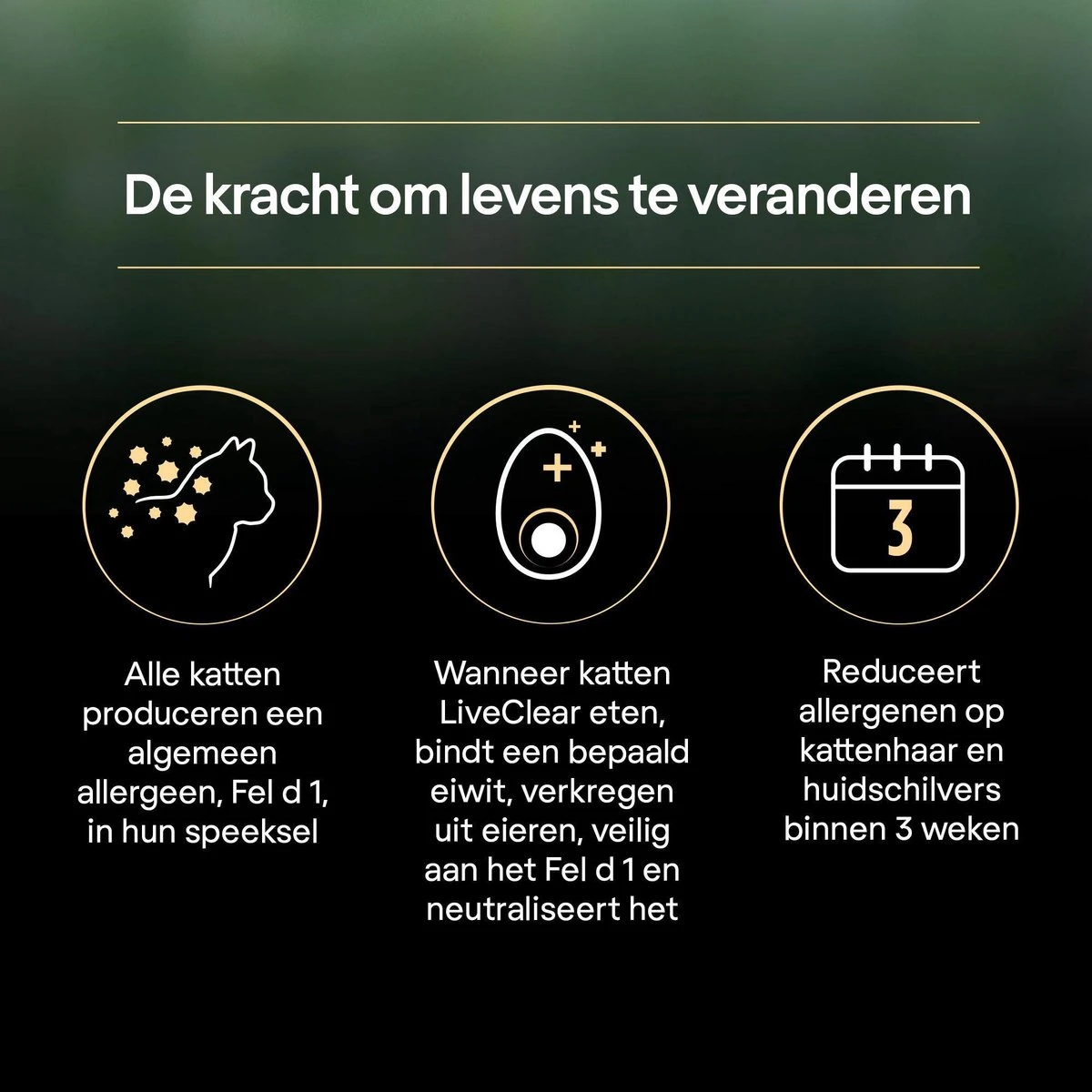 Pro Plan Adult LiveClear Katten Droogvoer - Kalkoen - 1,4 Kg 9 Pro Plan Adult LiveClear Katten Droogvoer - Kalkoen - 1,4 Kg - Image 9