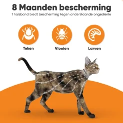 Nafurapets Vlooienband Voor Kat – Anti Vlooien – Teken Band – 100% Natuurlijk – 8 Maanden Bescherming – Grote & Kleine Kat -Merkloos Verkoop 1200x1200 870