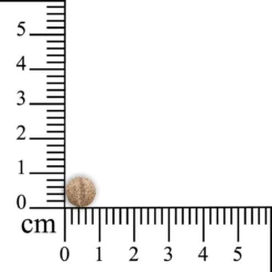Sensipharm Omniderma Voor Kat, Hondje, Cavia, Konijn - Voedingssupplement Voor Huid En Vacht, Bij Jeuk, Eczeem & Hotspot - 90 Tabletten à 250 Mg -Merkloos Verkoop 1200x1200 884