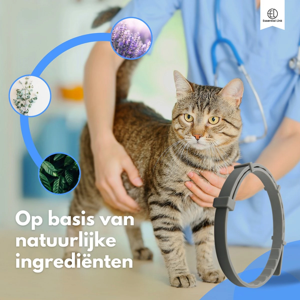 Essential Link Teken- En Vlooienband - Vlooienband Kat – Anti Vlooien – Vlooienmiddel - Tekenband - Diervriendelijk 2 Essential Link Teken- En Vlooienband - Vlooienband Kat – Anti Vlooien – Vlooienmiddel - Tekenband - Diervriendelijk - Image 2
