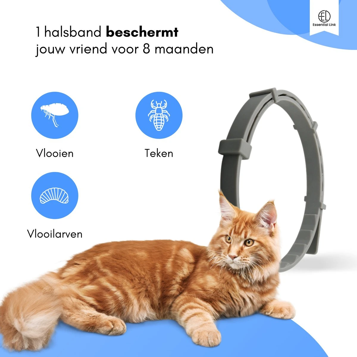 Essential Link Teken- En Vlooienband - Vlooienband Kat – Anti Vlooien – Vlooienmiddel - Tekenband - Diervriendelijk 3 Essential Link Teken- En Vlooienband - Vlooienband Kat – Anti Vlooien – Vlooienmiddel - Tekenband - Diervriendelijk - Image 3