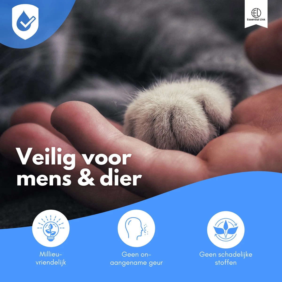 Essential Link Teken- En Vlooienband - Vlooienband Kat – Anti Vlooien – Vlooienmiddel - Tekenband - Diervriendelijk 4 Essential Link Teken- En Vlooienband - Vlooienband Kat – Anti Vlooien – Vlooienmiddel - Tekenband - Diervriendelijk - Image 4