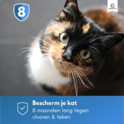 Essential Link Teken- En Vlooienband - Vlooienband Kat – Anti Vlooien – Vlooienmiddel - Tekenband - Diervriendelijk 17 Essential Link Teken- En Vlooienband - Vlooienband Kat – Anti Vlooien – Vlooienmiddel - Tekenband - Diervriendelijk -Merkloos Verkoop 1200x1200 893