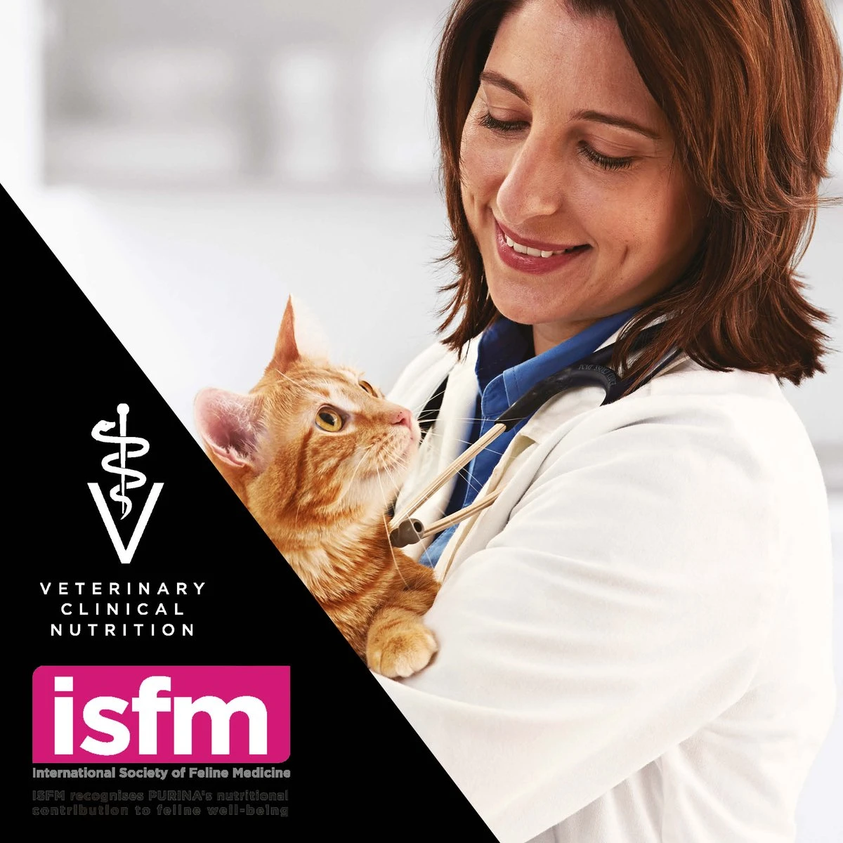 Purina One Purina Pro Plan Veterinary Diets - Fortiflora Kat - Probiotic - 30 X 1 Gram 6 Purina One Purina Pro Plan Veterinary Diets - Fortiflora Kat - Probiotic - 30 X 1 Gram - Afbeelding 6