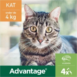 Bayer Advantage 40 Tegen Vlooien - <4kg - 4 X 0,4 Ml - Adult -Merkloos Verkoop 1200x1200 895