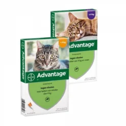 Bayer Advantage 40 Tegen Vlooien - <4kg - 4 X 0,4 Ml - Adult -Merkloos Verkoop 1200x1200 896