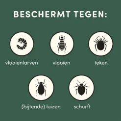 3 Stuks Vlooienband Kat Tekenband - 100% Natuurlijk Veilig En Waterbestendig -Merkloos Verkoop 1200x1200 901