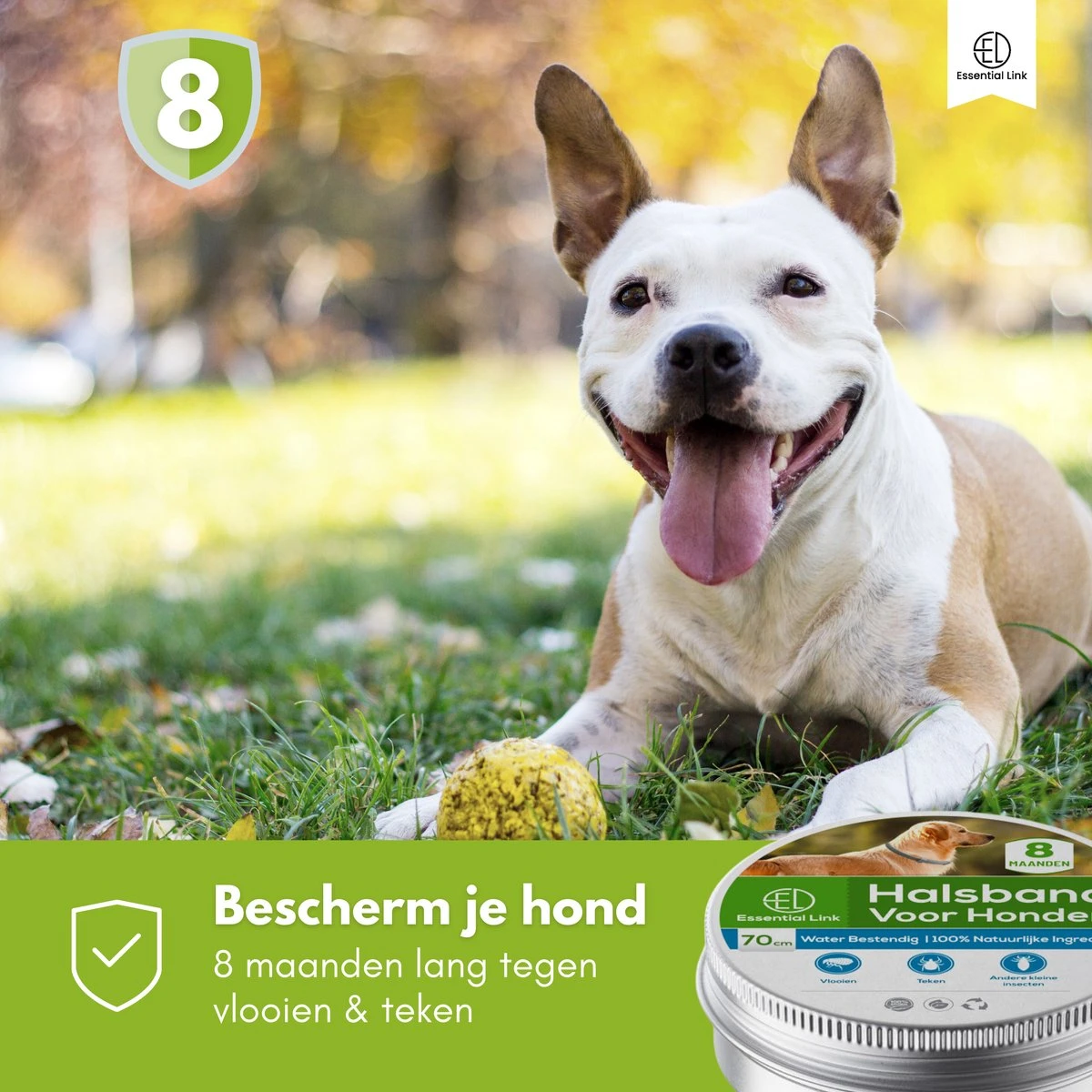 Essential Link Teken- En Vlooienband - Vlooienband Kat/Hond – Anti Vlooien – Vlooienmiddel - Tekenband - Diervriendelijk 2 Essential Link Teken- En Vlooienband - Vlooienband Kat/Hond – Anti Vlooien – Vlooienmiddel - Tekenband - Diervriendelijk - Image 2